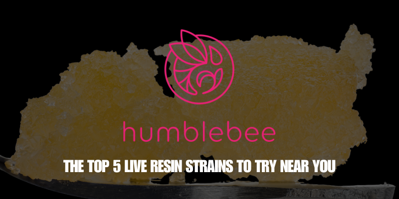 humblebee live resin